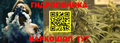 гашик Уссурийск