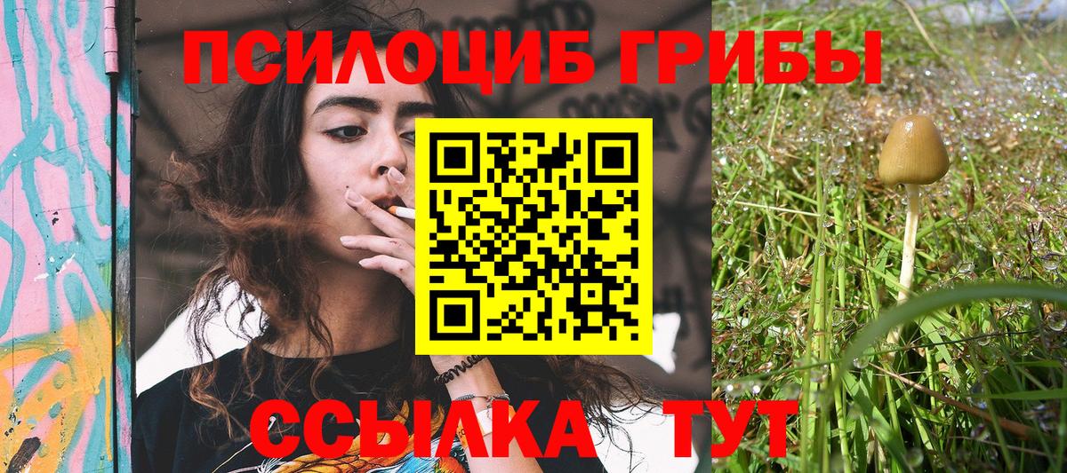 Псилоцибиновые грибы прущие грибы Великий Новгород