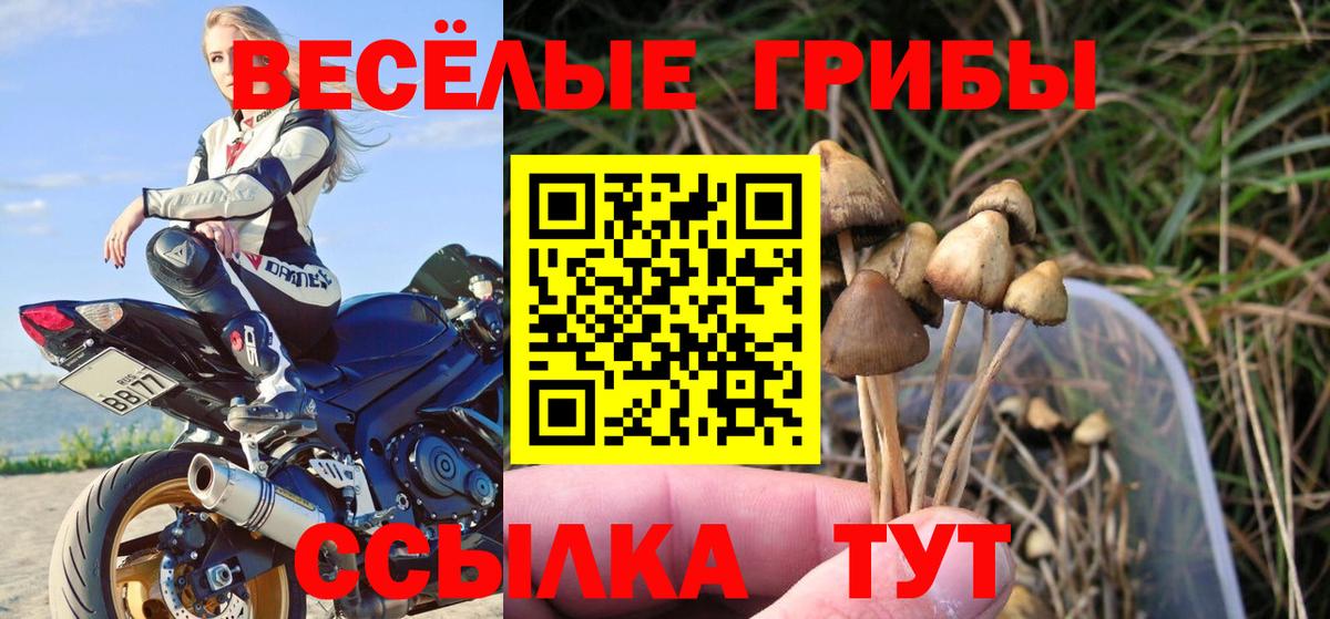ГАШ Великий Новгород