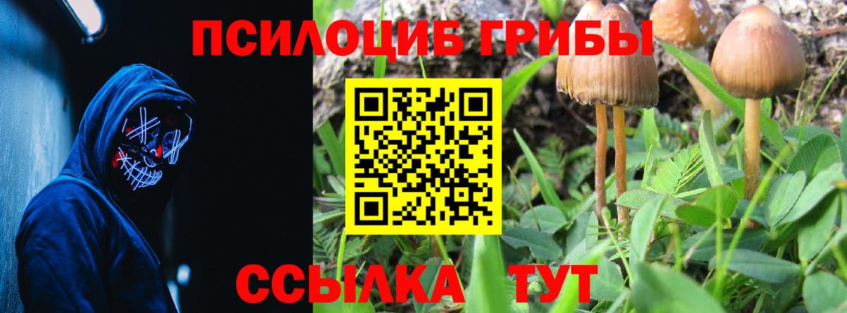 Псилоцибиновые грибы GOLDEN TEACHER  Вход с VPN  Великий Новгород 
